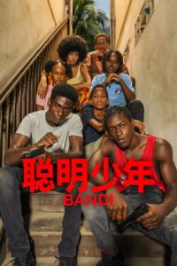 聪明少年