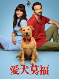 爱犬莫福