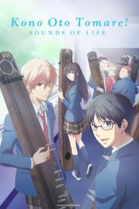 一弦定音！