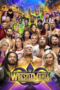 WWE 摔角狂热 34