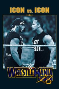 WWE 摔角狂热 18