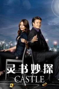 灵书妙探