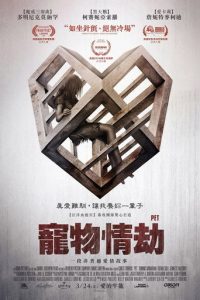 爱宠