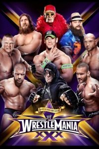 WWE 摔角狂热 30
