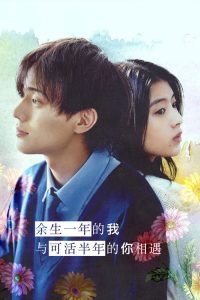 余生一年的我，与可活半年的你相遇 poster