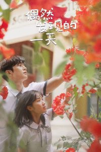 偶然发现的一天 poster