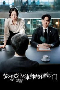 梦想成为律师的律师们 poster
