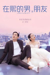 大都市的爱情法 poster
