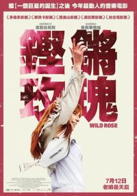 野玫瑰 poster