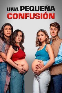 Una pequeña confusión poster