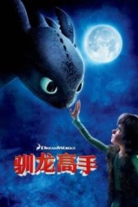 驯龙高手 poster