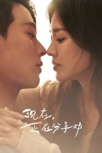 现在，正在分手中 poster