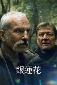 银莲花 poster