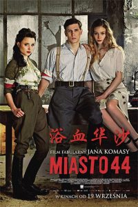 浴血华沙 poster