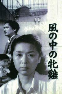 风中的母鸡 poster
