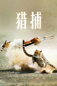 猎捕 poster