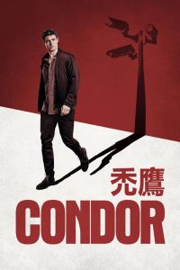 秃鹰 poster