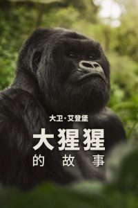 大卫·艾登堡：大猩猩的故事