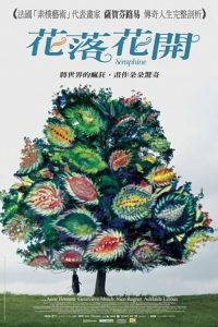 花落花开 poster