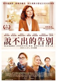 黑鸟 poster