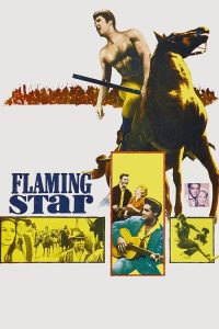 手足英雄 poster