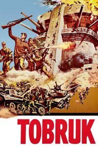 浴血狂沙 poster