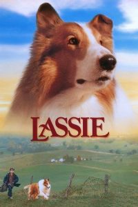 新灵犬莱西 poster