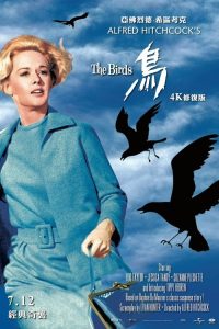 群鸟 poster