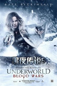 黑夜传说5：血战 poster