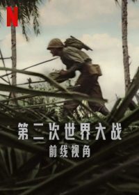 第二次世界大战：前线视角 poster