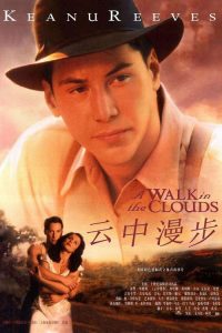 云中漫步 poster