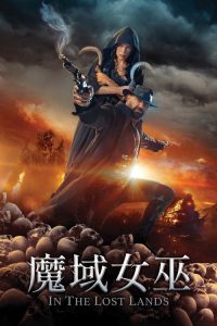 在失落之地 poster