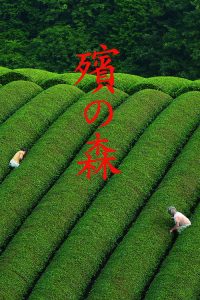 殡之森 poster