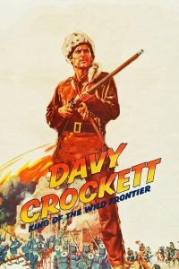 大卫克罗传 poster