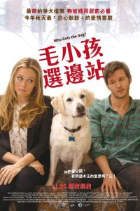 狗狗监护权