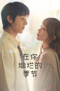 在你灿烂的季节 poster