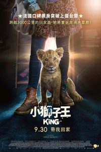 我的小狮王 poster