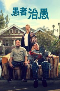 这个傻瓜 poster