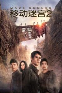 移动迷宫2：烧痕审判 poster