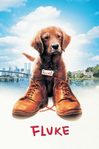 再世人狗缘 poster