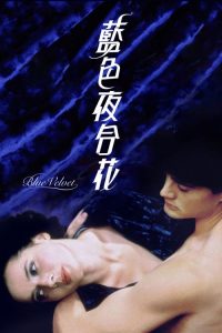 蓝丝绒 poster
