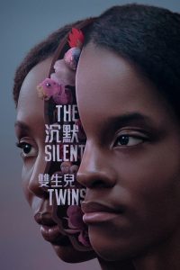 沉默的双胞胎 poster