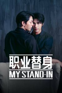 职业替身 poster