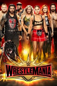 WWE 摔角狂热 35 poster