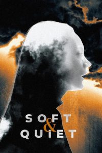 温柔安静的女人们 poster