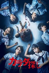 寻找身体 poster