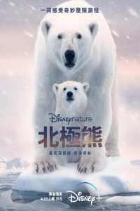 北极熊 poster
