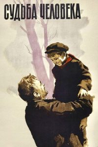 一个人的遭遇 poster