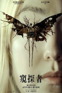 神秘窥视 poster