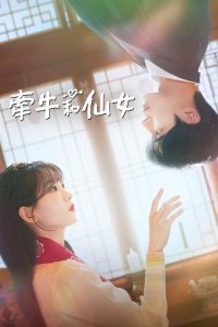牵牛和仙女 poster